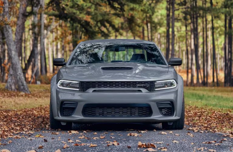 What Do We Know So Far About the 2024 Dodge Charger? - Palmen Motors